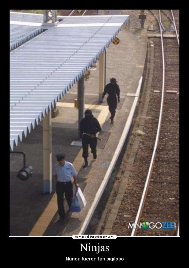 Ninjas - Nunca fueron tan sigiloso