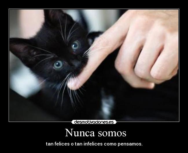  Nunca somos - 