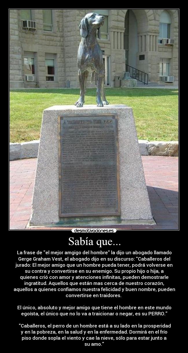 Sabía que... -
