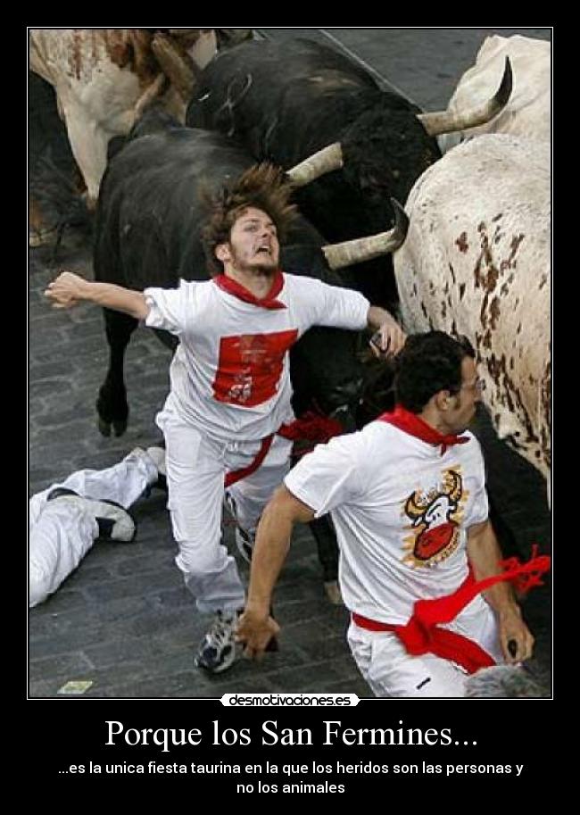 Porque los San Fermines... - ...es la unica fiesta taurina en la que los heridos son las personas y no los animales