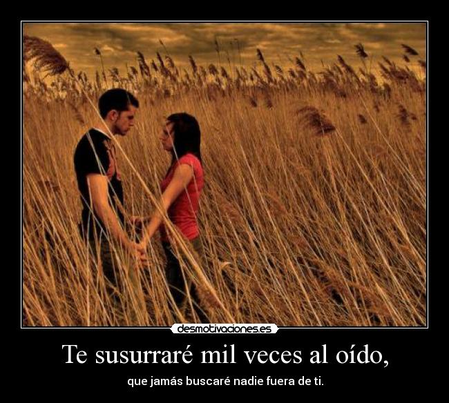 Te susurraré mil veces al oído, - que jamás buscaré nadie fuera de ti.