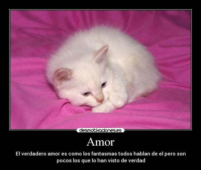 Amor -