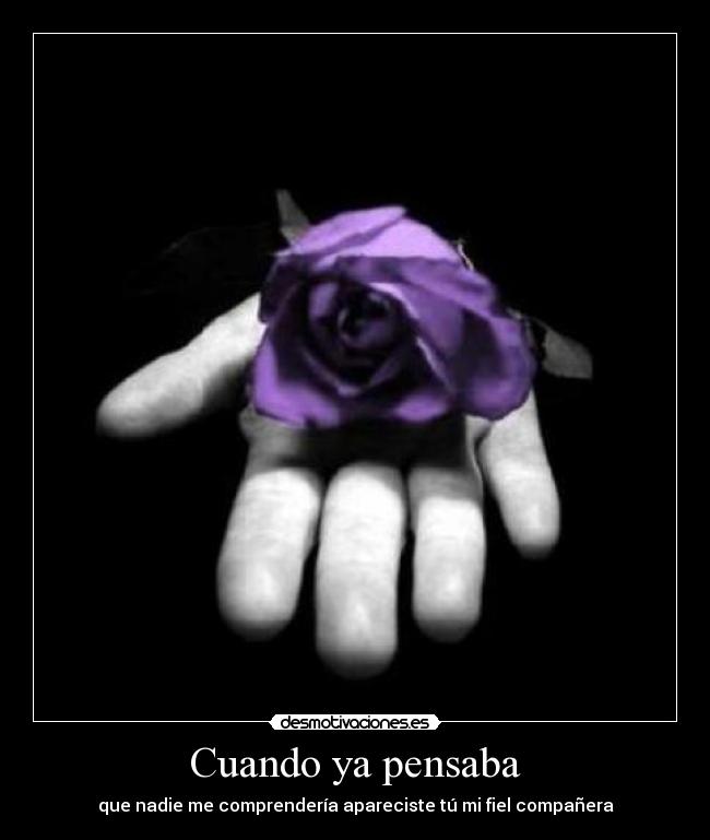 Cuando ya pensaba -