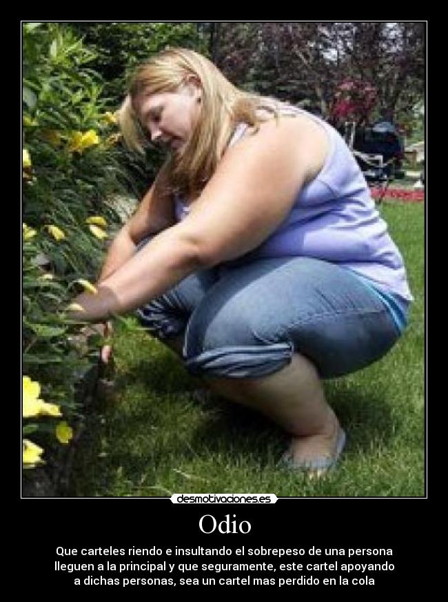 Odio - Que carteles riendo e insultando el sobrepeso de una persona
lleguen a la principal y que seguramente, este cartel apoyando
a dichas personas, sea un cartel mas perdido en la cola