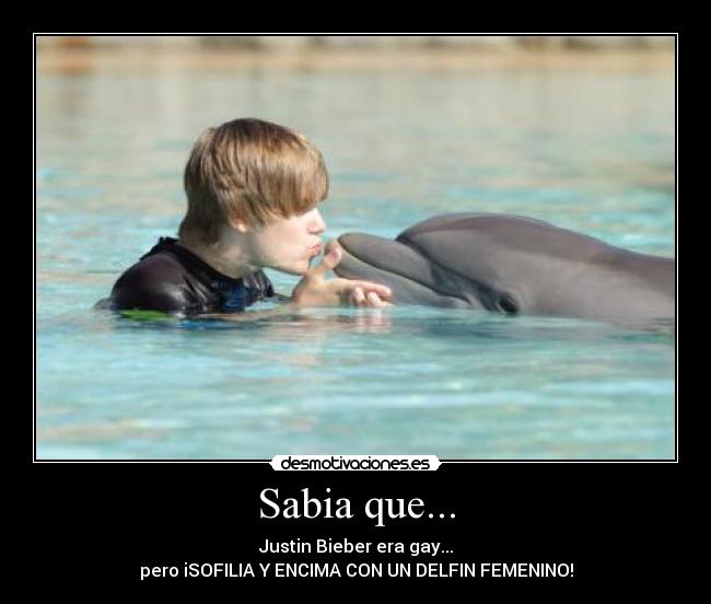 Sabia que... - 