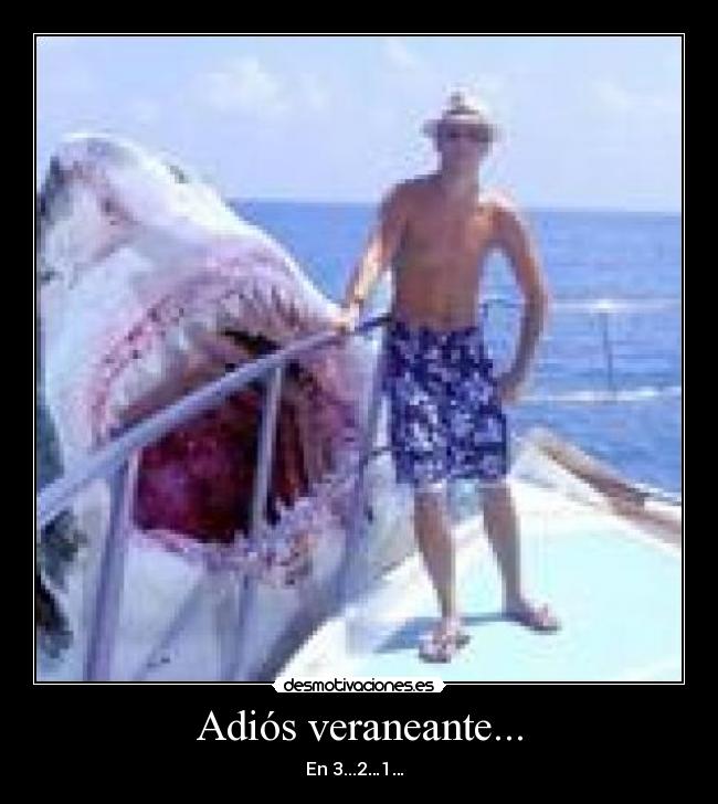 Adiós veraneante... -