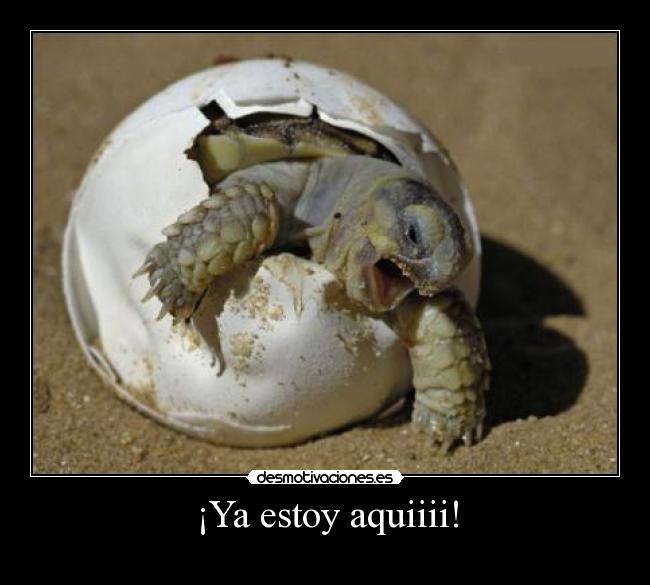 ¡Ya estoy aquiiii! -