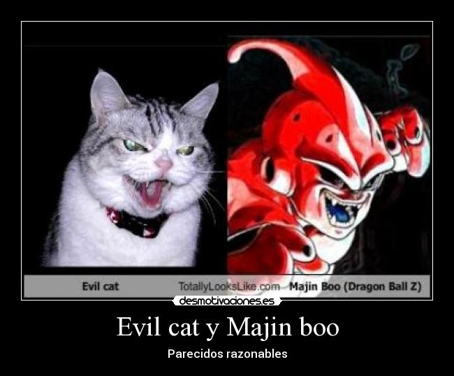 Evil cat y Majin boo -