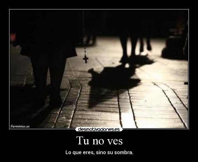 Tu no ves - Lo que eres, sino su sombra.
