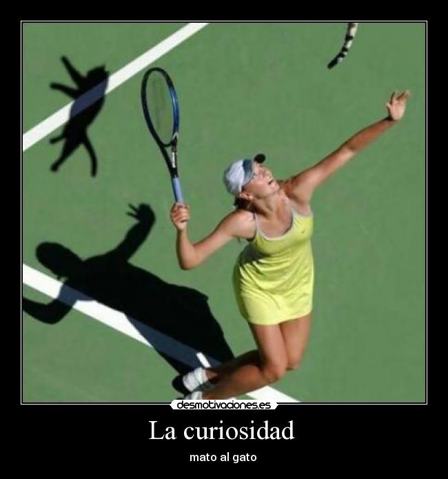 La curiosidad  - 