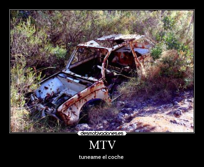 MTV - 