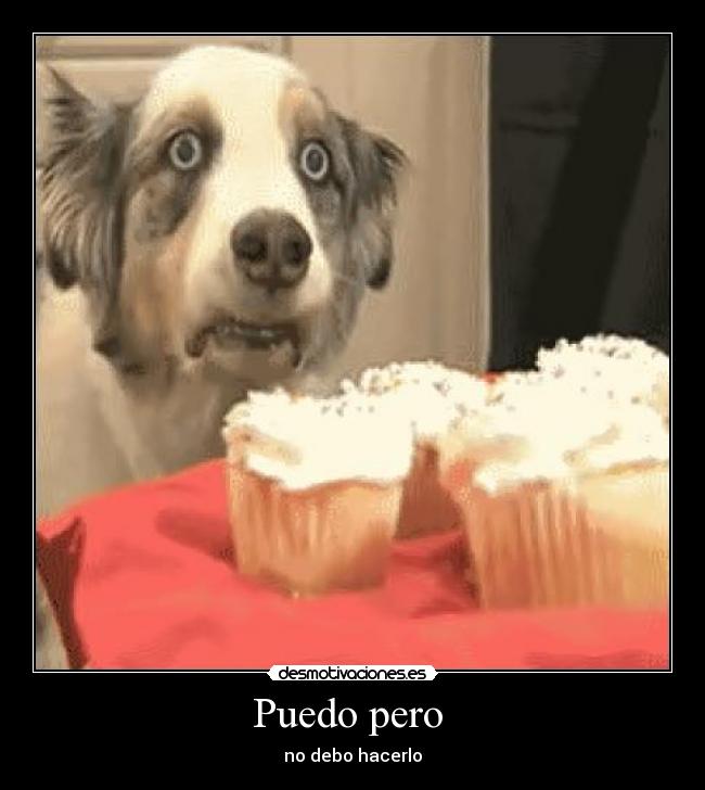 Puedo pero - no debo hacerlo