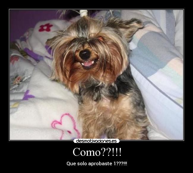 Como??!!! - Que solo aprobaste 1???!!!