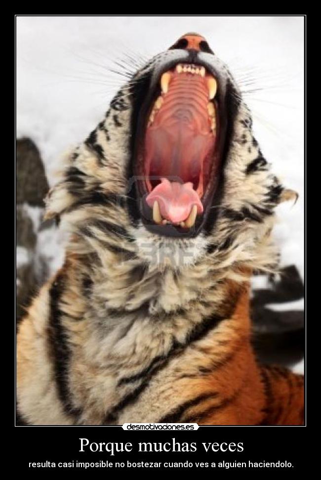 Porque muchas veces -