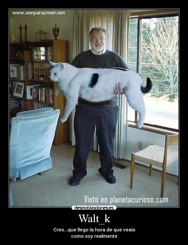 Walt_k - Creo...que llego la hora de que veais
como soy realmente