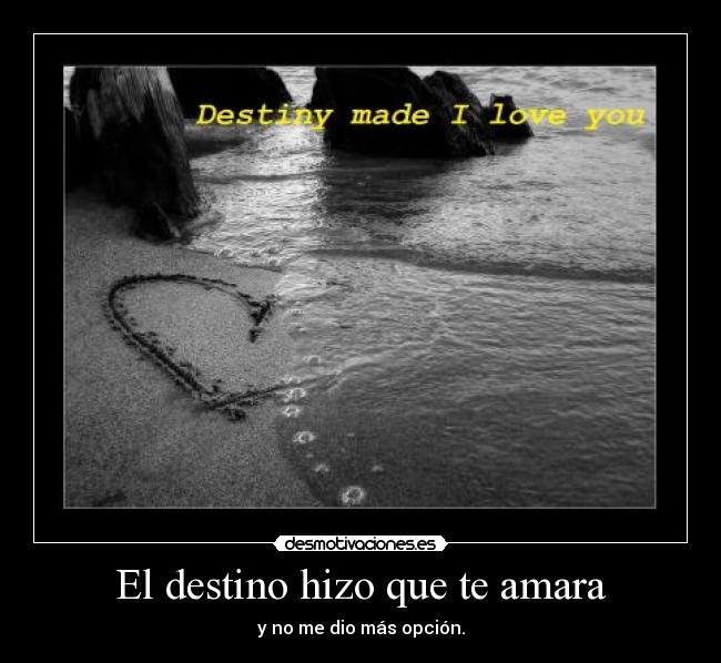 El destino hizo que te amara - y no me dio más opción.