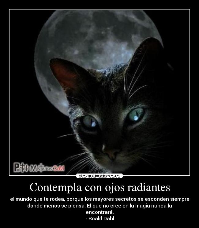 carteles contempla desmotivaciones