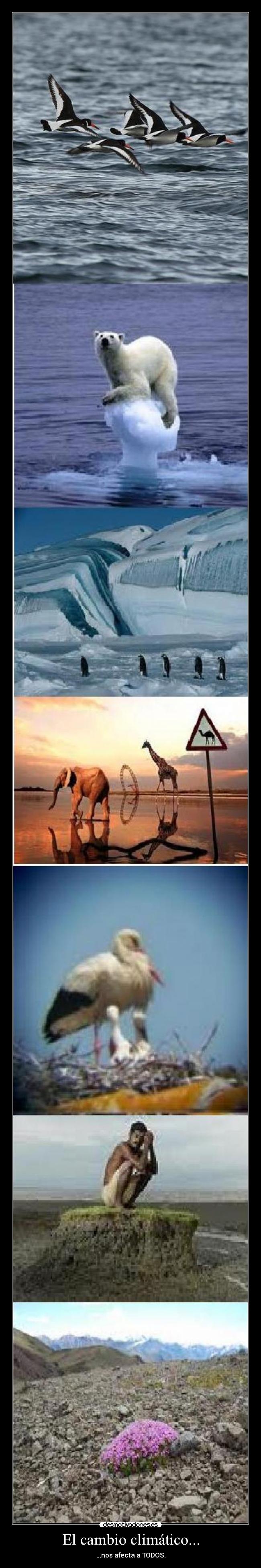 El cambio climático... - 