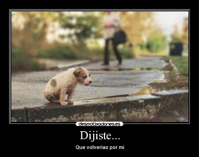 Dijiste... - Que volverias por mi