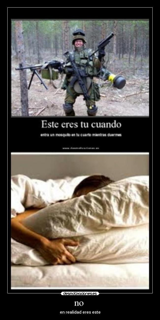 no  - en realidad eres este