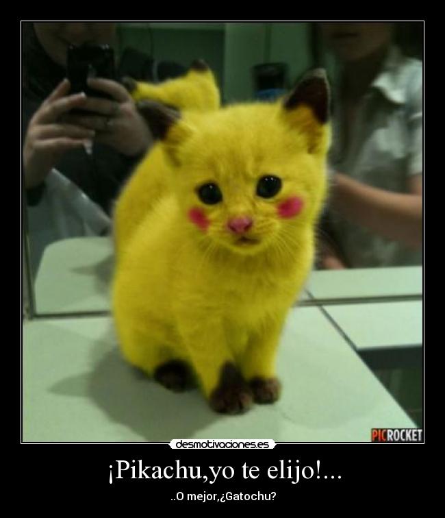 ¡Pikachu,yo te elijo!... -