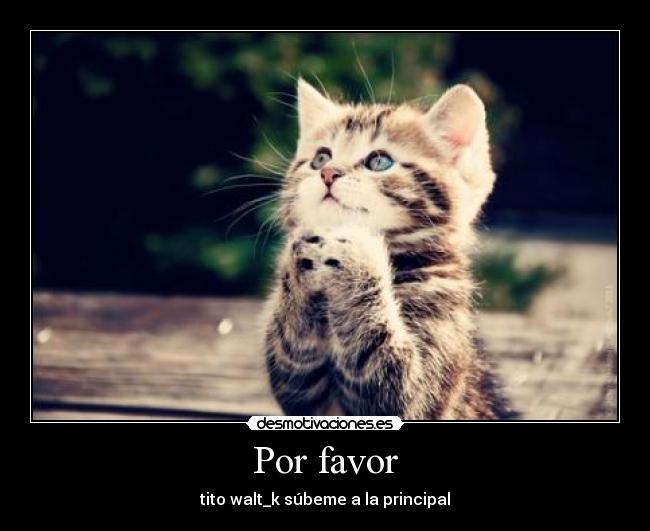 Por favor - 