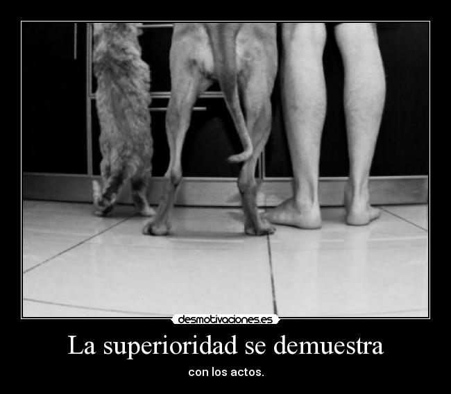 La superioridad se demuestra -