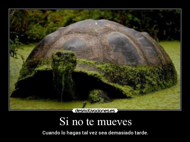 Si no te mueves - Cuando lo hagas tal vez sea demasiado tarde.