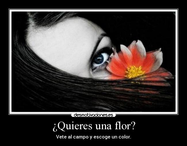 ¿Quieres una flor? - Vete al campo y escoge un color.