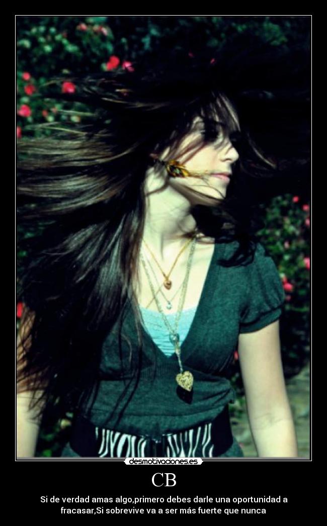 carteles caitlin beadles desmotivaciones