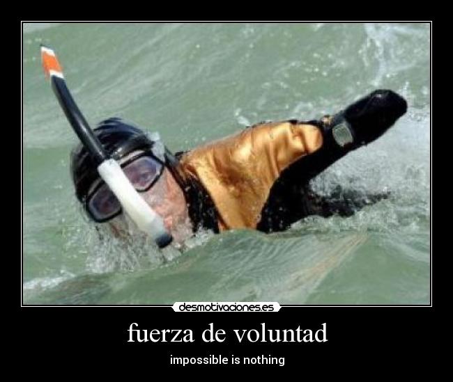 fuerza de voluntad -