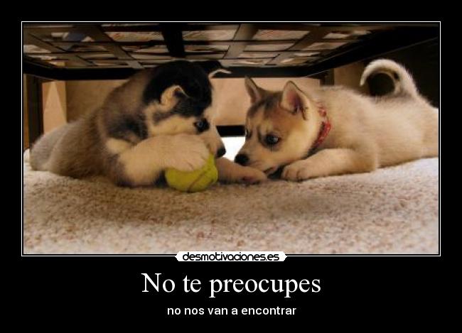 No te preocupes - no nos van a encontrar