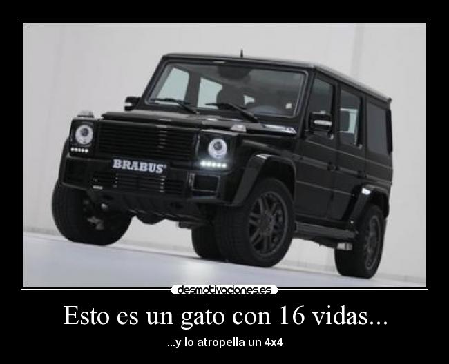 Esto es un gato con 16 vidas... - ...y lo atropella un 4x4