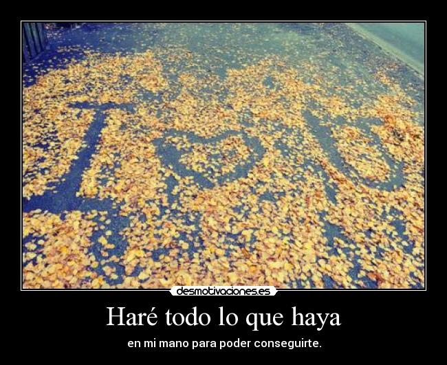 Haré todo lo que haya -