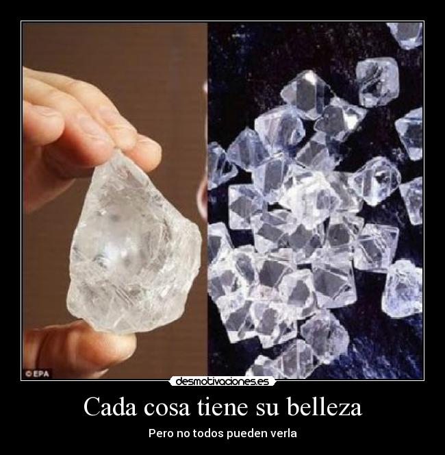 Cada cosa tiene su belleza - Pero no todos pueden verla