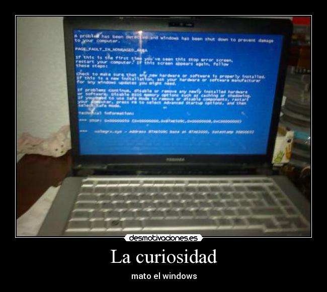 La curiosidad -
