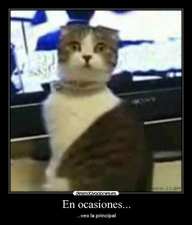En ocasiones... - ...veo la principal