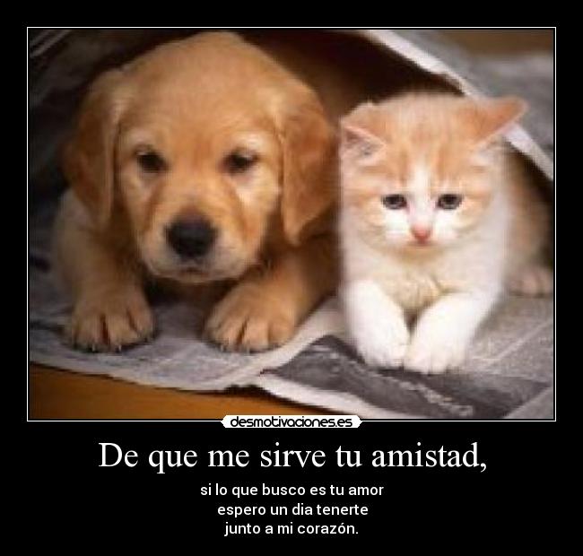 carteles amistad que sirve amistad desmotivaciones