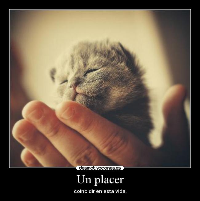 Un placer -