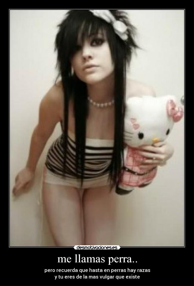me llamas perra.. - 