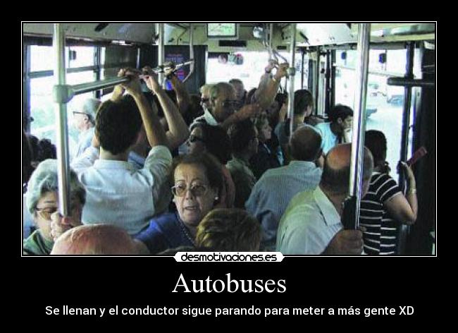 Autobuses - 