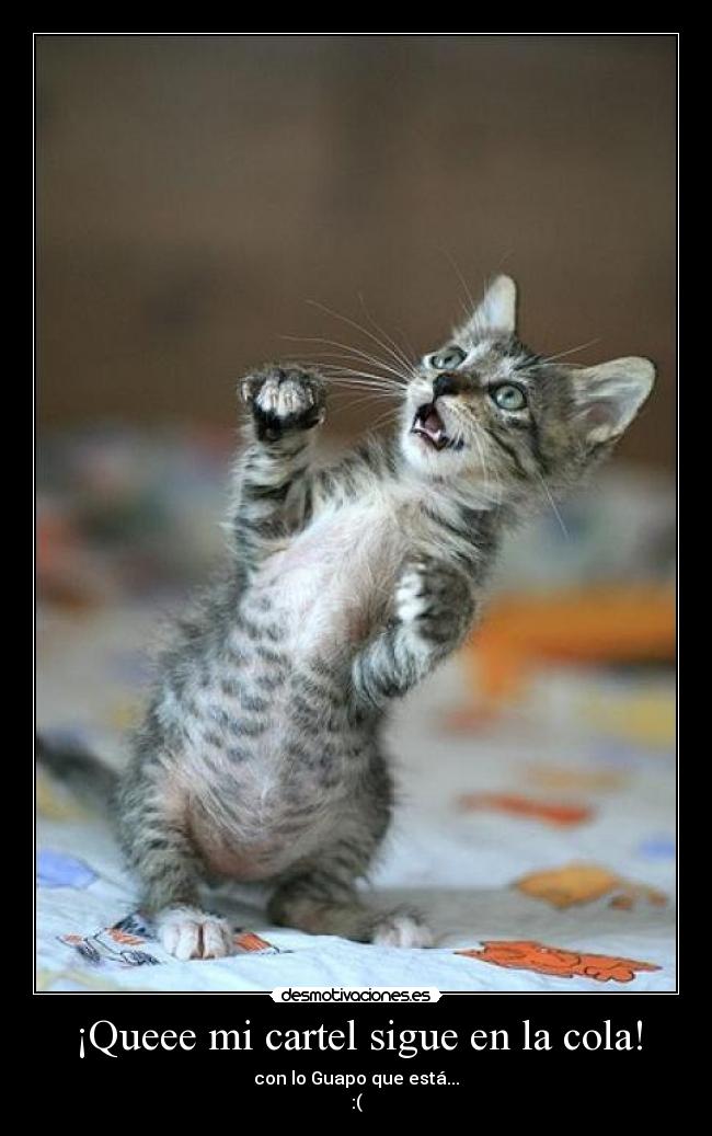 carteles que desmotivaciones