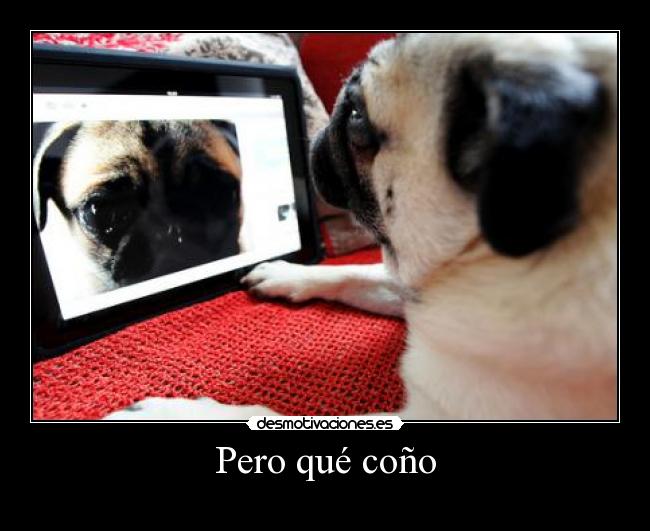 Pero qué coño - 