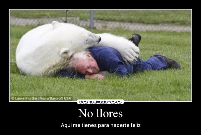 carteles yuikjklmijk desmotivaciones