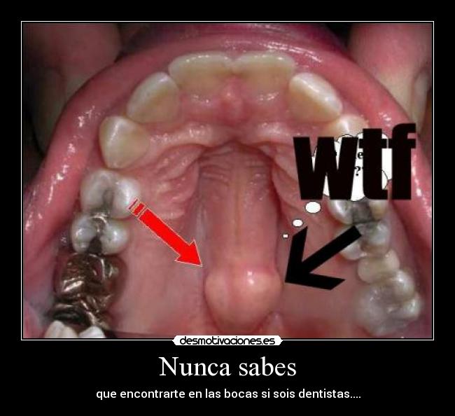 carteles wtf desmotivaciones