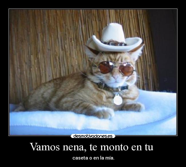 Vamos nena, te monto en tu  - 