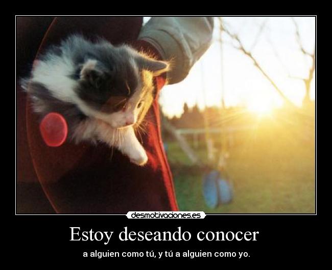 Estoy deseando conocer - a alguien como tú, y tú a alguien como yo.