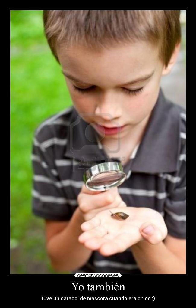 Yo también - tuve un caracol de mascota cuando era chico :)