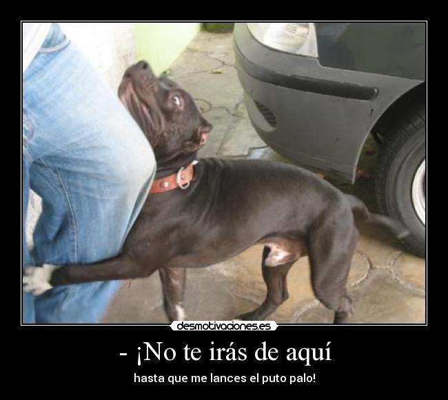 - ¡No te irás de aquí -