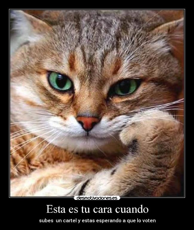 Esta es tu cara cuando -